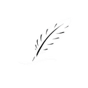 filli